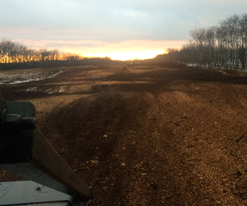 FOREST REMOVAL