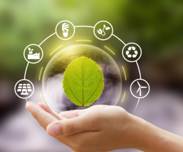 Sustainable forestry practices